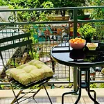 Art & Joy Hostel